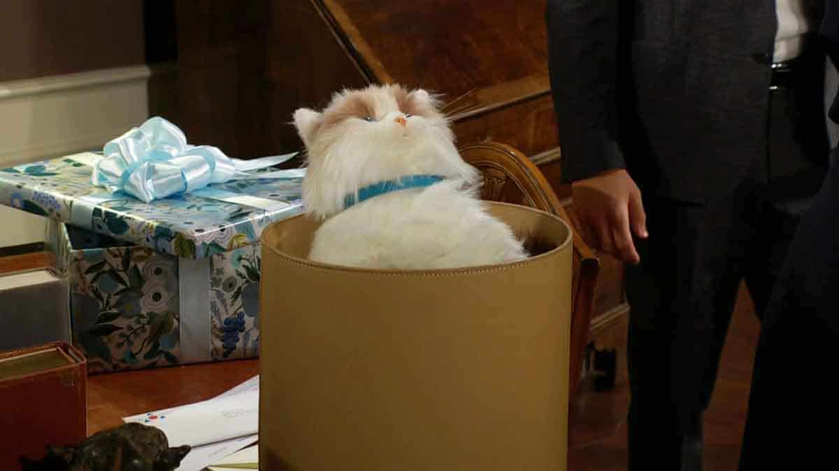 Mr. Kitty sits in the trash on Young and the Restless