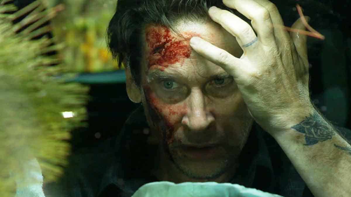 Matt's horrified by his head injury on Young and the Restless